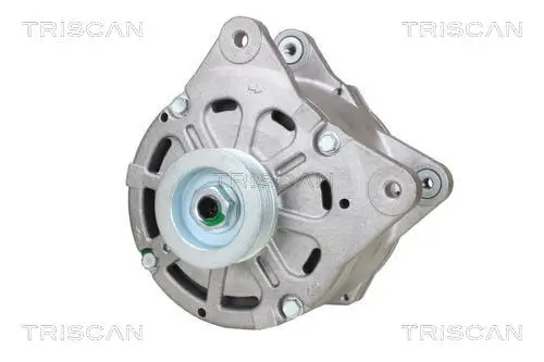 Generator 14 V TRISCAN 8310 29021