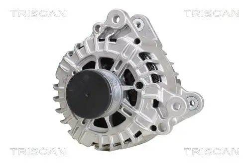Generator 14 V TRISCAN 8310 29024