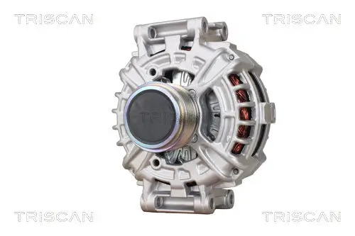 Generator 14 V TRISCAN 8310 29025