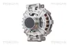 Generator 14 V TRISCAN 8310 29025
