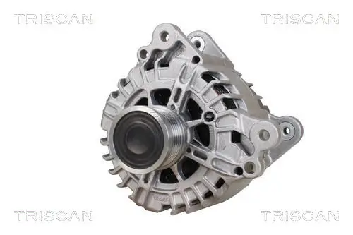 Generator 14 V TRISCAN 8310 29026