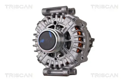 Generator 12 V TRISCAN 8310 29030