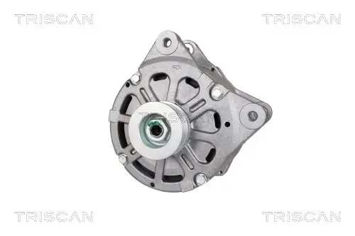 Generator 14 V TRISCAN 8310 29031