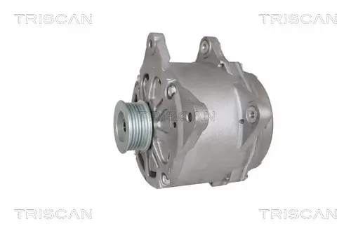 Generator 14 V TRISCAN 8310 29031 Bild Generator 14 V TRISCAN 8310 29031