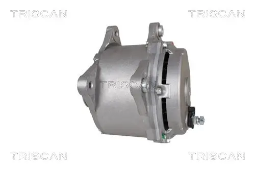 Generator 14 V TRISCAN 8310 29031 Bild Generator 14 V TRISCAN 8310 29031