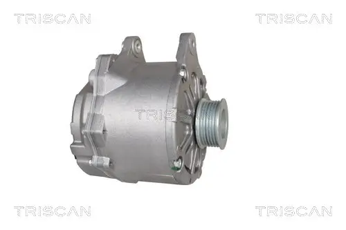 Generator 14 V TRISCAN 8310 29031 Bild Generator 14 V TRISCAN 8310 29031