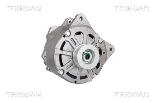 Generator 14 V TRISCAN 8310 29031 Bild Generator 14 V TRISCAN 8310 29031