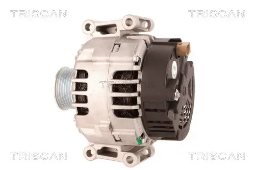 Generator 12 V TRISCAN 8310 29032 Bild Generator 12 V TRISCAN 8310 29032