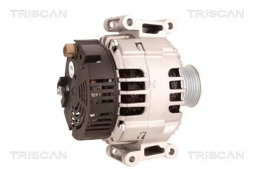 Generator 12 V TRISCAN 8310 29032 Bild Generator 12 V TRISCAN 8310 29032