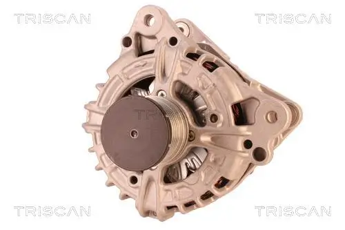Generator 14 V TRISCAN 8310 29033