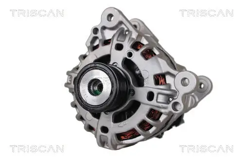 Generator 14 V TRISCAN 8310 29036