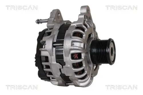 Generator 14 V TRISCAN 8310 29036 Bild Generator 14 V TRISCAN 8310 29036