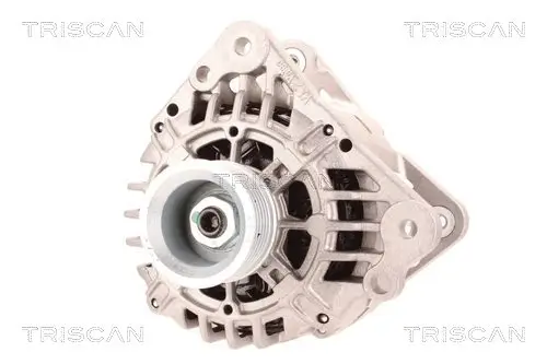 Generator 14 V TRISCAN 8310 29037
