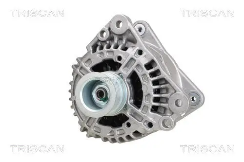 Generator 12 V TRISCAN 8310 29038