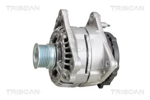 Generator 12 V TRISCAN 8310 29038 Bild Generator 12 V TRISCAN 8310 29038