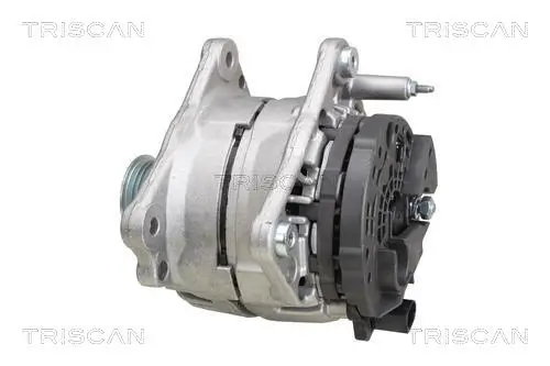 Generator 12 V TRISCAN 8310 29038 Bild Generator 12 V TRISCAN 8310 29038