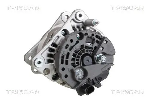 Generator 12 V TRISCAN 8310 29038 Bild Generator 12 V TRISCAN 8310 29038