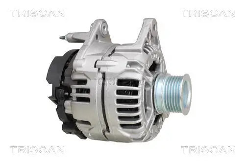 Generator 12 V TRISCAN 8310 29038 Bild Generator 12 V TRISCAN 8310 29038