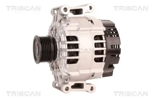 Generator 12 V TRISCAN 8310 29039 Bild Generator 12 V TRISCAN 8310 29039