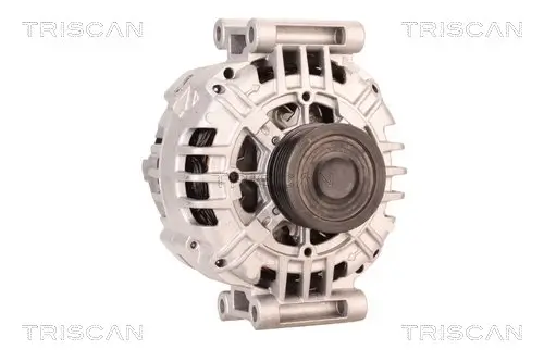 Generator 12 V TRISCAN 8310 29039 Bild Generator 12 V TRISCAN 8310 29039