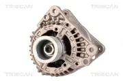 Generator 14 V TRISCAN 8310 29040