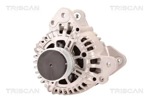 Generator 14 V TRISCAN 8310 29041