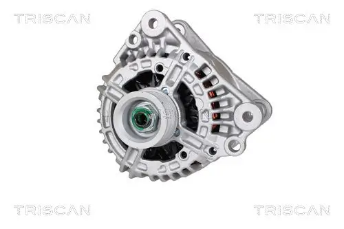 Generator 14 V TRISCAN 8310 29042