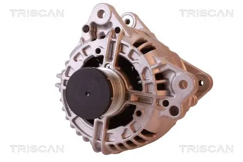 Generator 14 V TRISCAN 8310 29048