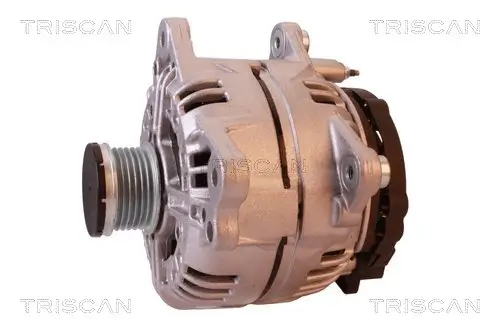 Generator 14 V TRISCAN 8310 29048 Bild Generator 14 V TRISCAN 8310 29048