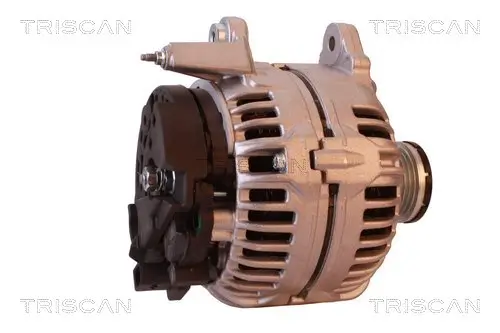 Generator 14 V TRISCAN 8310 29048 Bild Generator 14 V TRISCAN 8310 29048