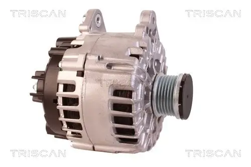 Generator 14 V TRISCAN 8310 29049 Bild Generator 14 V TRISCAN 8310 29049