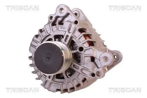 Generator 14 V TRISCAN 8310 29051