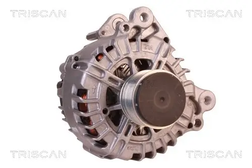 Generator 14 V TRISCAN 8310 29051 Bild Generator 14 V TRISCAN 8310 29051