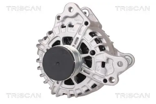 Generator 14 V TRISCAN 8310 29052