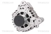 Generator 14 V TRISCAN 8310 29052