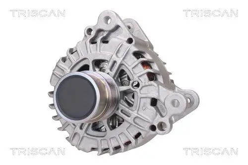 Generator 14 V TRISCAN 8310 29053