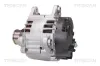 Generator 14 V TRISCAN 8310 29053 Bild Generator 14 V TRISCAN 8310 29053