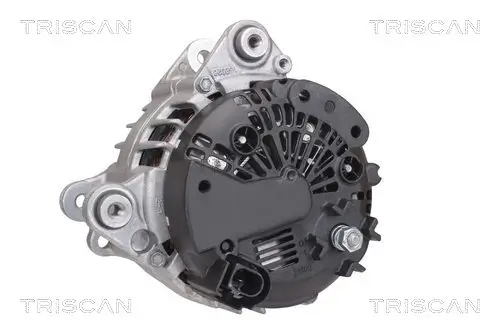 Generator 14 V TRISCAN 8310 29053 Bild Generator 14 V TRISCAN 8310 29053