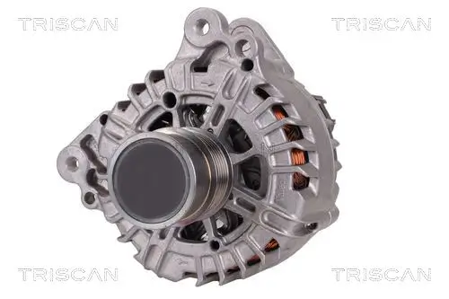 Generator 14 V TRISCAN 8310 29054