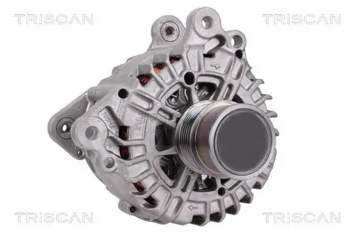 Generator 14 V TRISCAN 8310 29054 Bild Generator 14 V TRISCAN 8310 29054