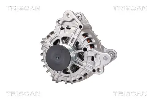 Generator 14 V TRISCAN 8310 29055