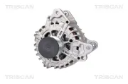 Generator 14 V TRISCAN 8310 29055