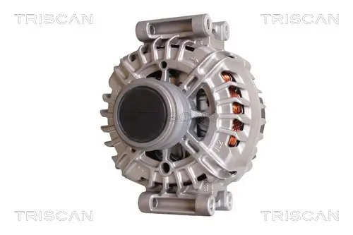 Generator 14 V TRISCAN 8310 29057