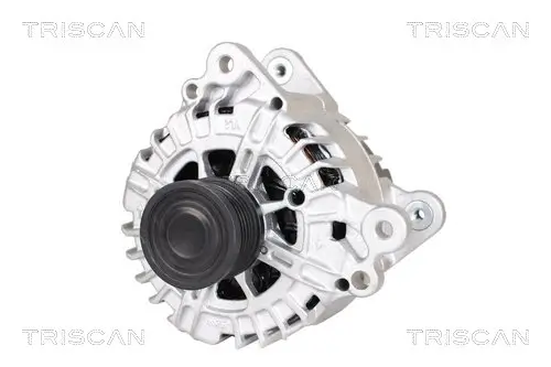 Generator 14 V TRISCAN 8310 29058