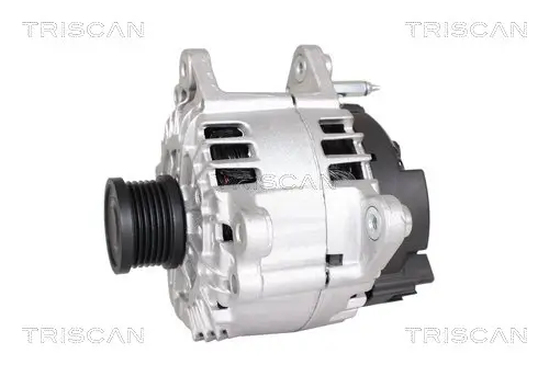 Generator 14 V TRISCAN 8310 29058 Bild Generator 14 V TRISCAN 8310 29058