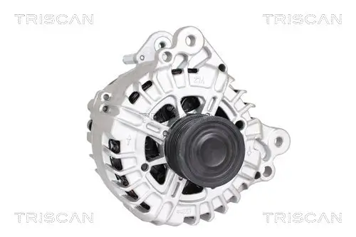 Generator 14 V TRISCAN 8310 29058 Bild Generator 14 V TRISCAN 8310 29058