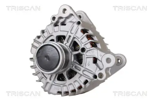 Generator 14 V TRISCAN 8310 29059