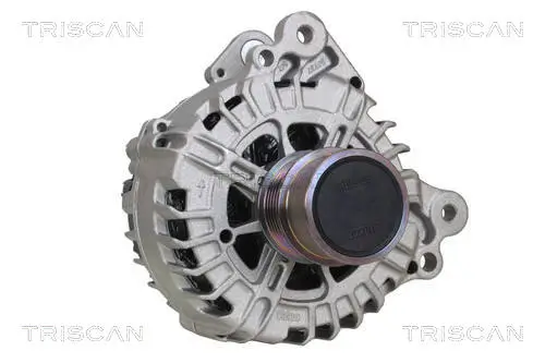 Generator 14 V TRISCAN 8310 29060 Bild Generator 14 V TRISCAN 8310 29060