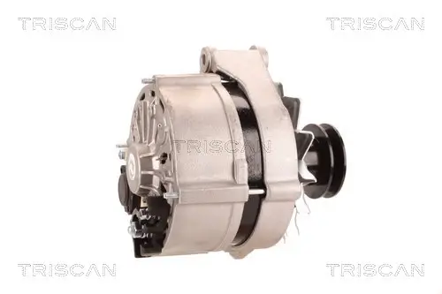 Generator 14 V TRISCAN 8310 29061 Bild Generator 14 V TRISCAN 8310 29061