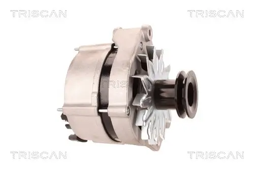 Generator 14 V TRISCAN 8310 29061 Bild Generator 14 V TRISCAN 8310 29061